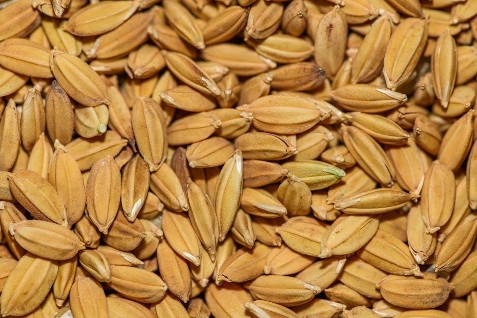 simply nature brown rice cooking instructions